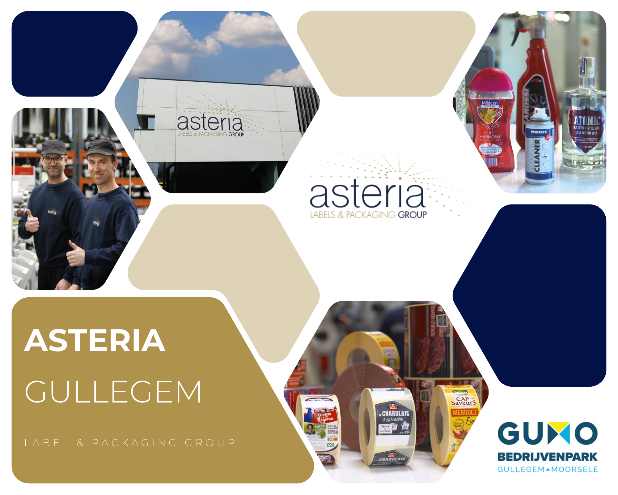 GUMO GESPOT: Asteria Group